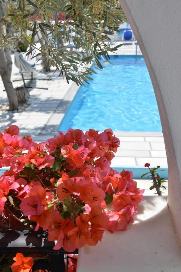 Dedalos Studios Naxos Naxos City Exterior foto